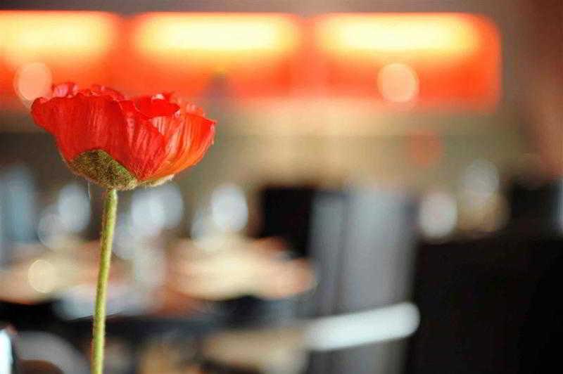 Mercure Hotel Brussels Airport Diegem Exteriér fotografie